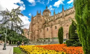 Colourful flowers in front of the Cathedral of Salamanca in Spain